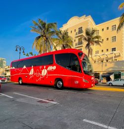TuribusExperiencias turísticas únicas para descubrir lo mejor de cada ciudad. Ir